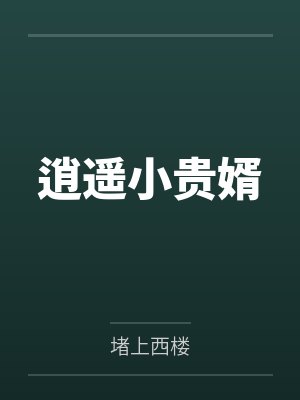 逍遥小贵婿 逍遥小贵婿