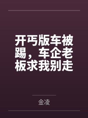 开丐版车被踢,车企老板求我别走 开丐版车被踢,车企老板求我别走